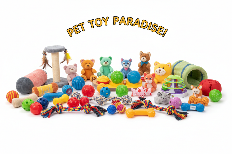 Pet Toys