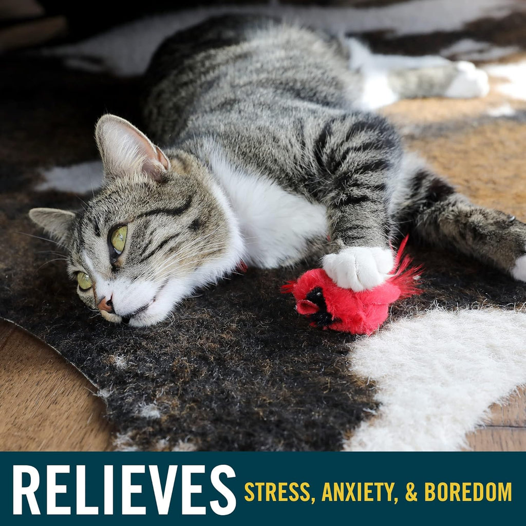 1aec3118-e47b-4e0b-bbc6-cefbf73ad48d