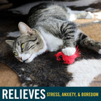 1aec3118-e47b-4e0b-bbc6-cefbf73ad48d