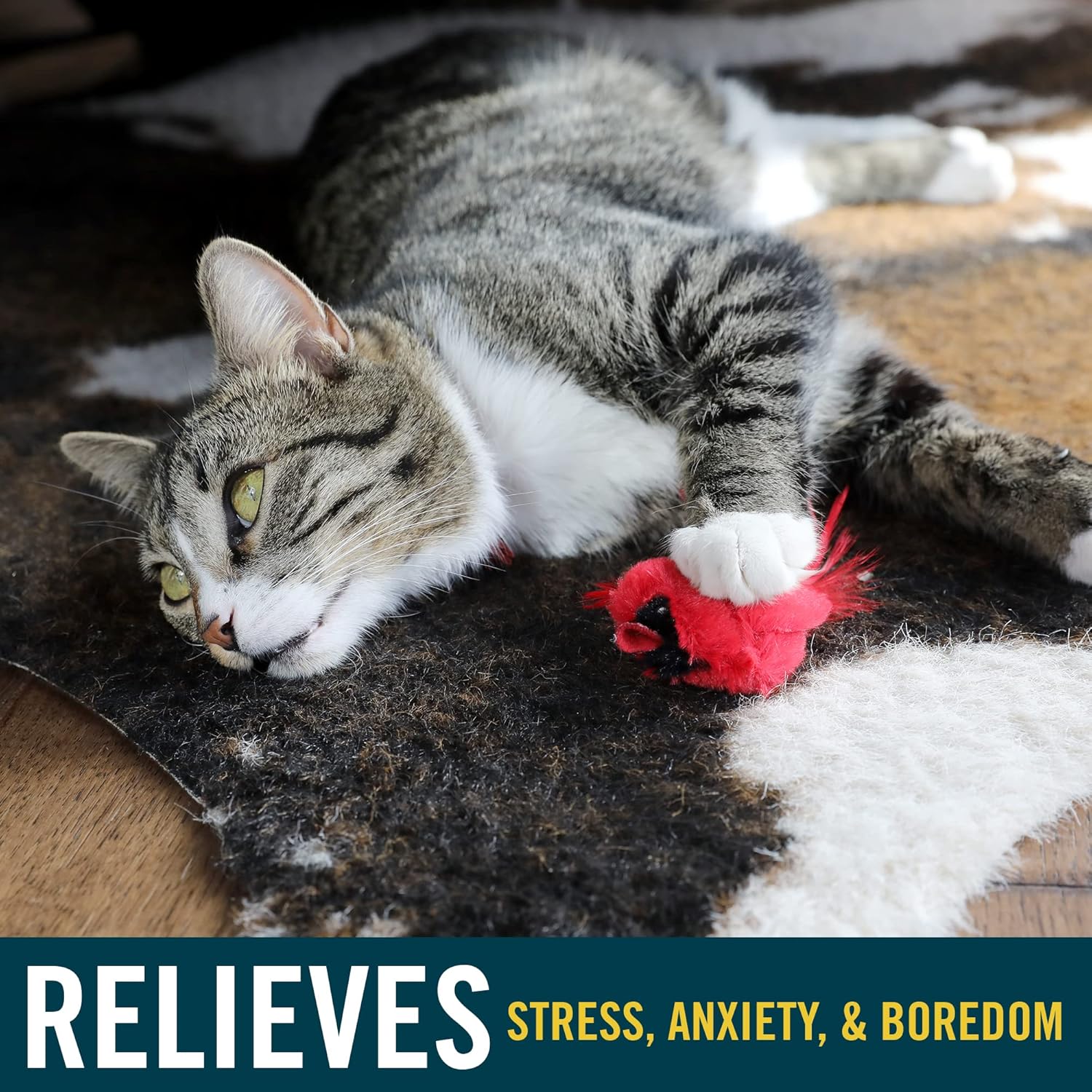 1aec3118-e47b-4e0b-bbc6-cefbf73ad48d