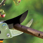 03973588-1215-49bb-9355-fc97d06533f4