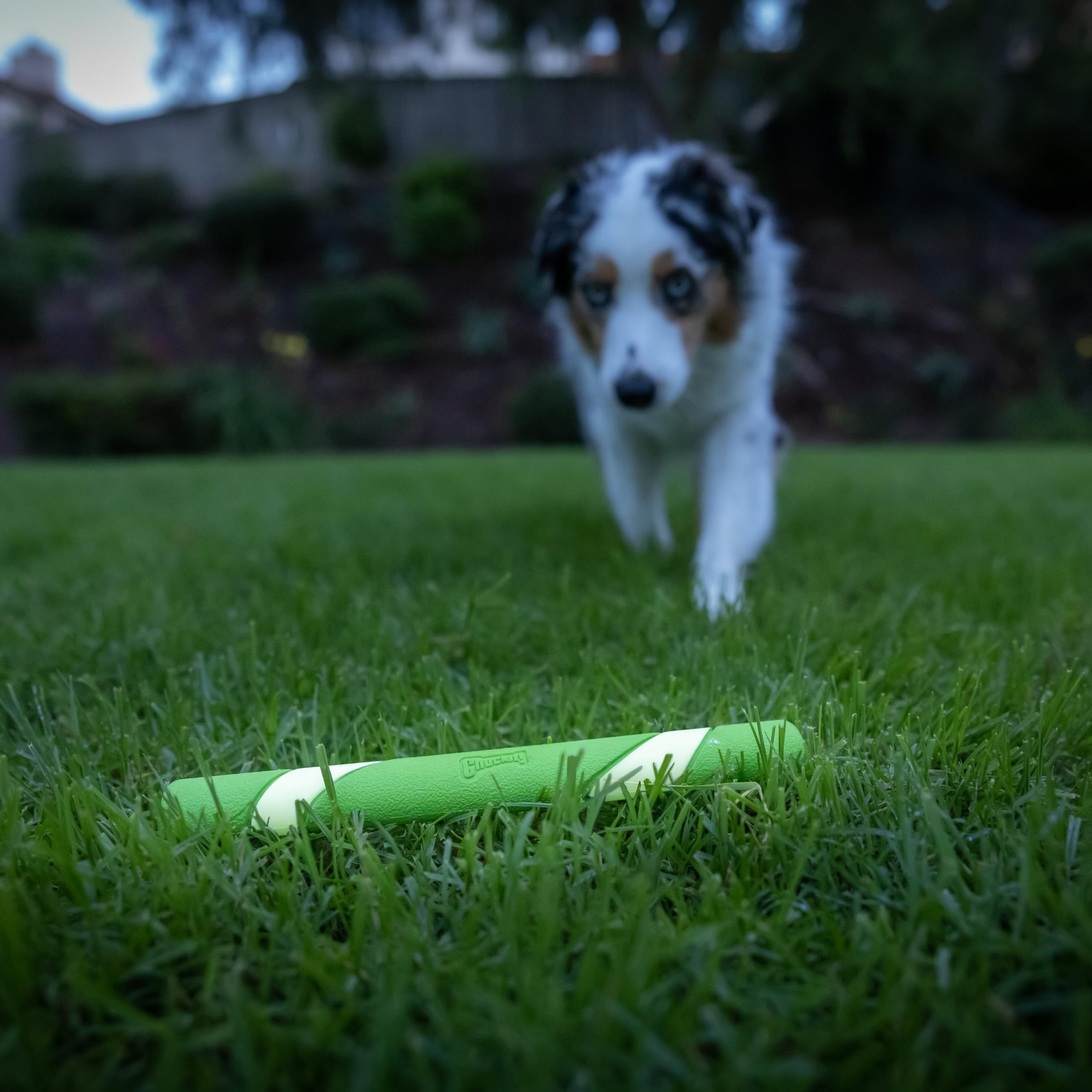 Chuckit Ultra Fetch Stick - 12 Inch Interactive Dog Toy