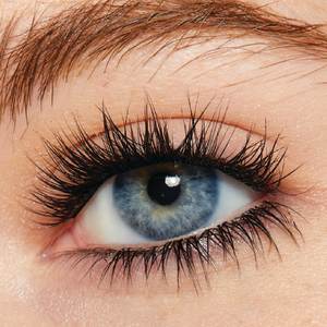 edea351c-6d67-409d-a8cb-bc60cf495bba