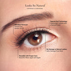 b50ff648-10f5-47b9-af05-aaca878c9a97