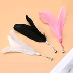Cat Teaser Wand with Suction Cup - Interactive Feather Toy with Bell & Replaceable Heads