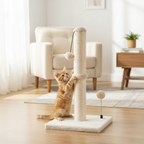 Kitten playing with hanging ball