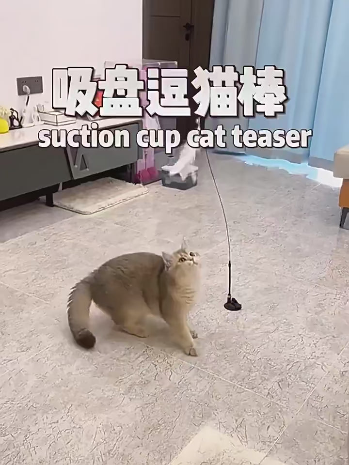 Cat Teaser Wand with Suction Cup - Interactive Feather Toy with Bell & Replaceable Heads