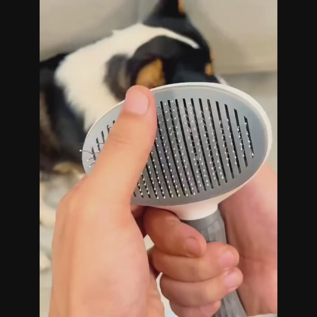 Self-Cleaning Pet Brush - Dog & Cat Grooming Tool
