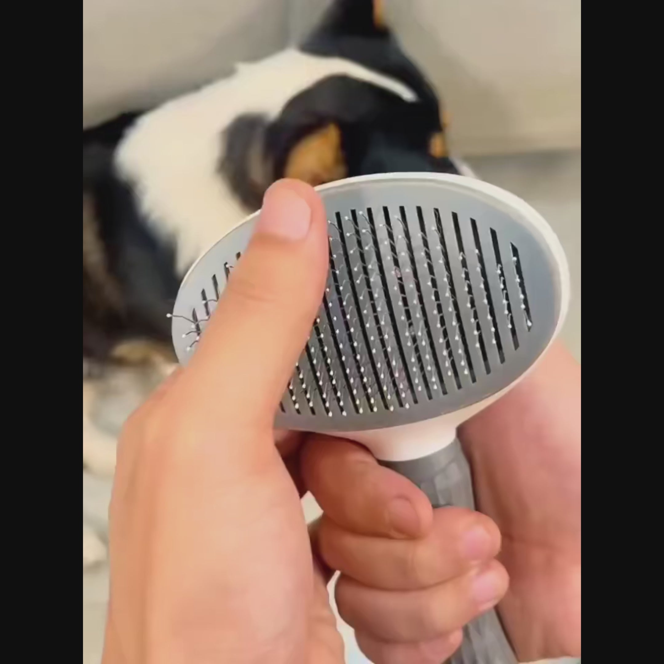 Self-Cleaning Pet Brush - Dog & Cat Grooming Tool