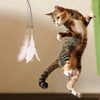 Cat Teaser Wand with Suction Cup - Interactive Feather Toy with Bell & Replaceable Heads