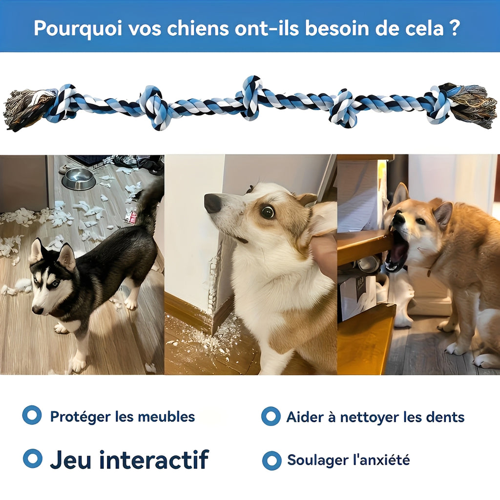 Heavy-Duty Dog Rope Toy - Nearly Indestructible Chew Toy for Medium to Large Dogs