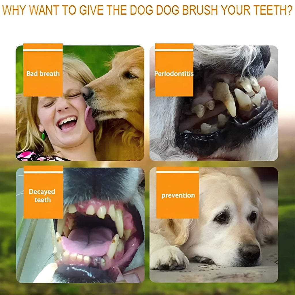 Pet Finger Toothbrush Set - Super Soft Silicone Teeth Cleaning for Dogs & Cats