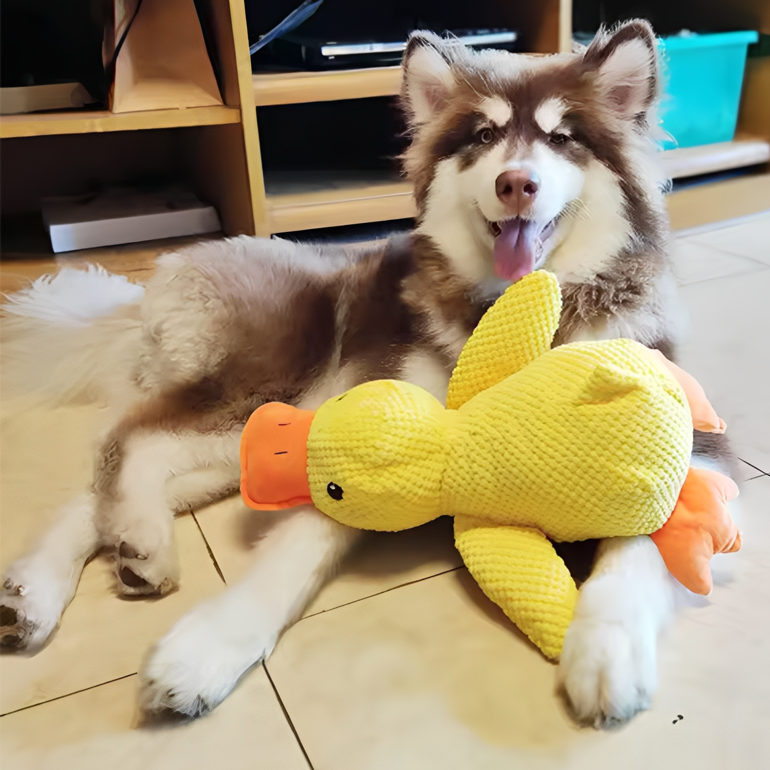 Squeaky Duck Dog Toy - Interactive Plush Chew Toy for Small, Medium & Large Dogs