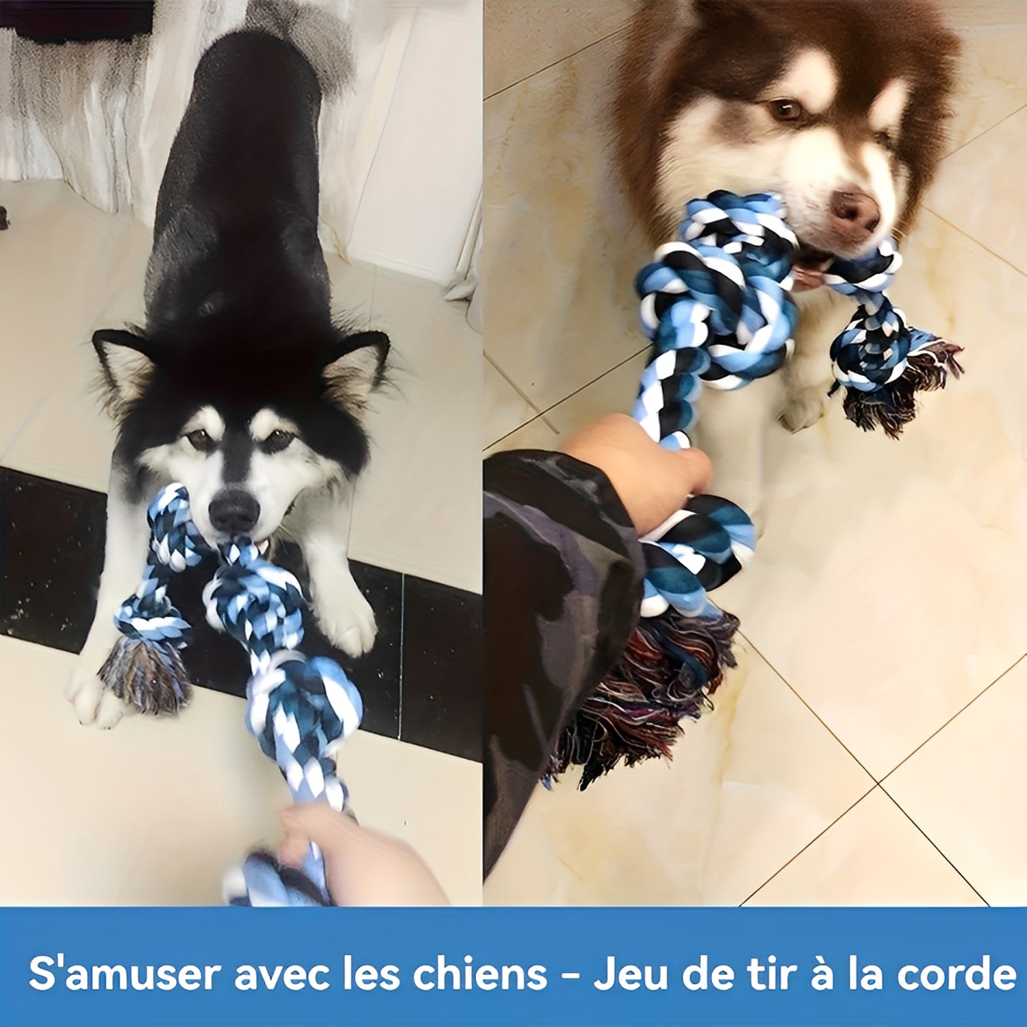 Heavy-Duty Dog Rope Toy - Nearly Indestructible Chew Toy for Medium to Large Dogs