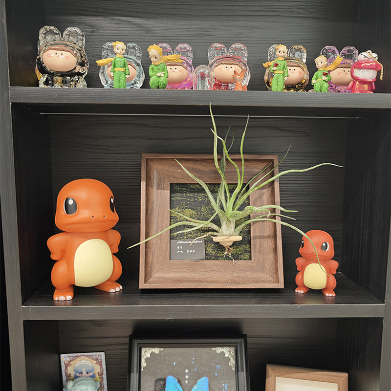 Pokemon Figures Set - 5 Classic Characters