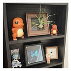 Pokemon Figures Set - 5 Classic Characters